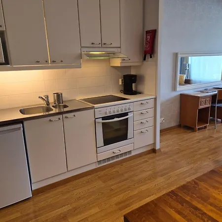 Rantahuone Ikaalisten Kylpylae Terme 公寓 伊卡利宁